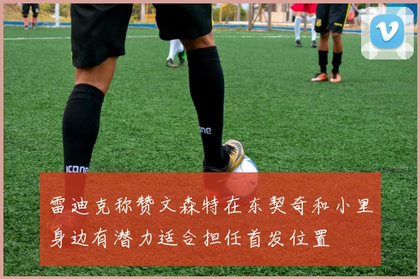 雷迪克称赞文森特在东契奇和小里身边有潜力适合担任首发位置