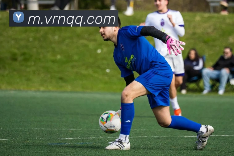 爱游戏体育服务体系